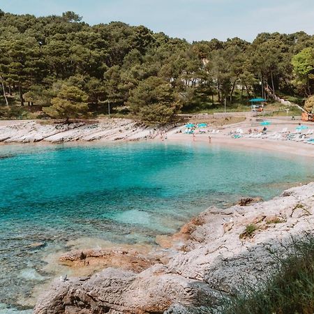 Studio Apartment Pinetree - Mali Lošinj Esterno foto