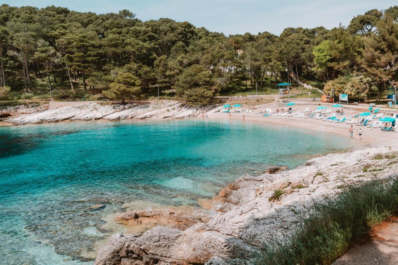 Studio Apartment Pinetree - Mali Lošinj Esterno foto